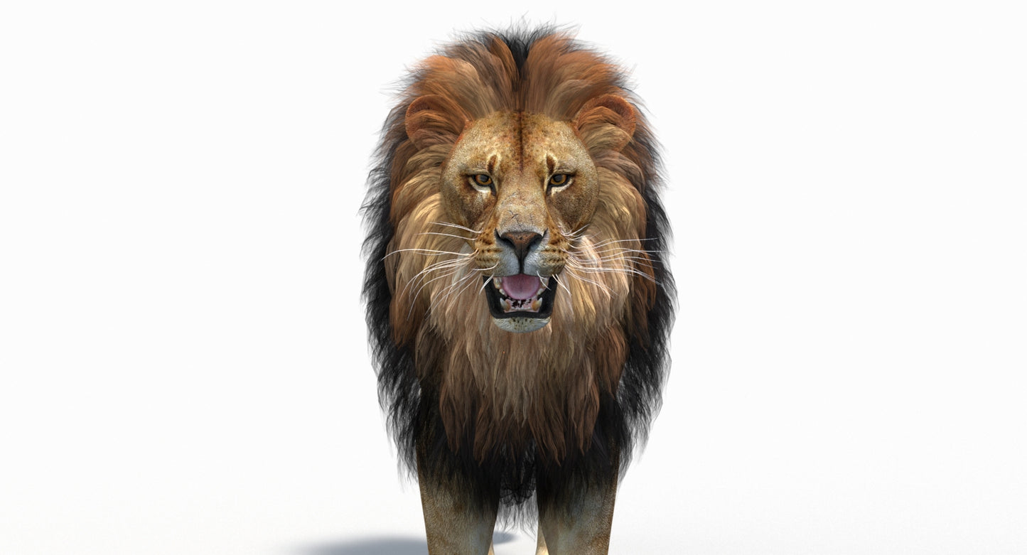 Lion 3D Model Animated