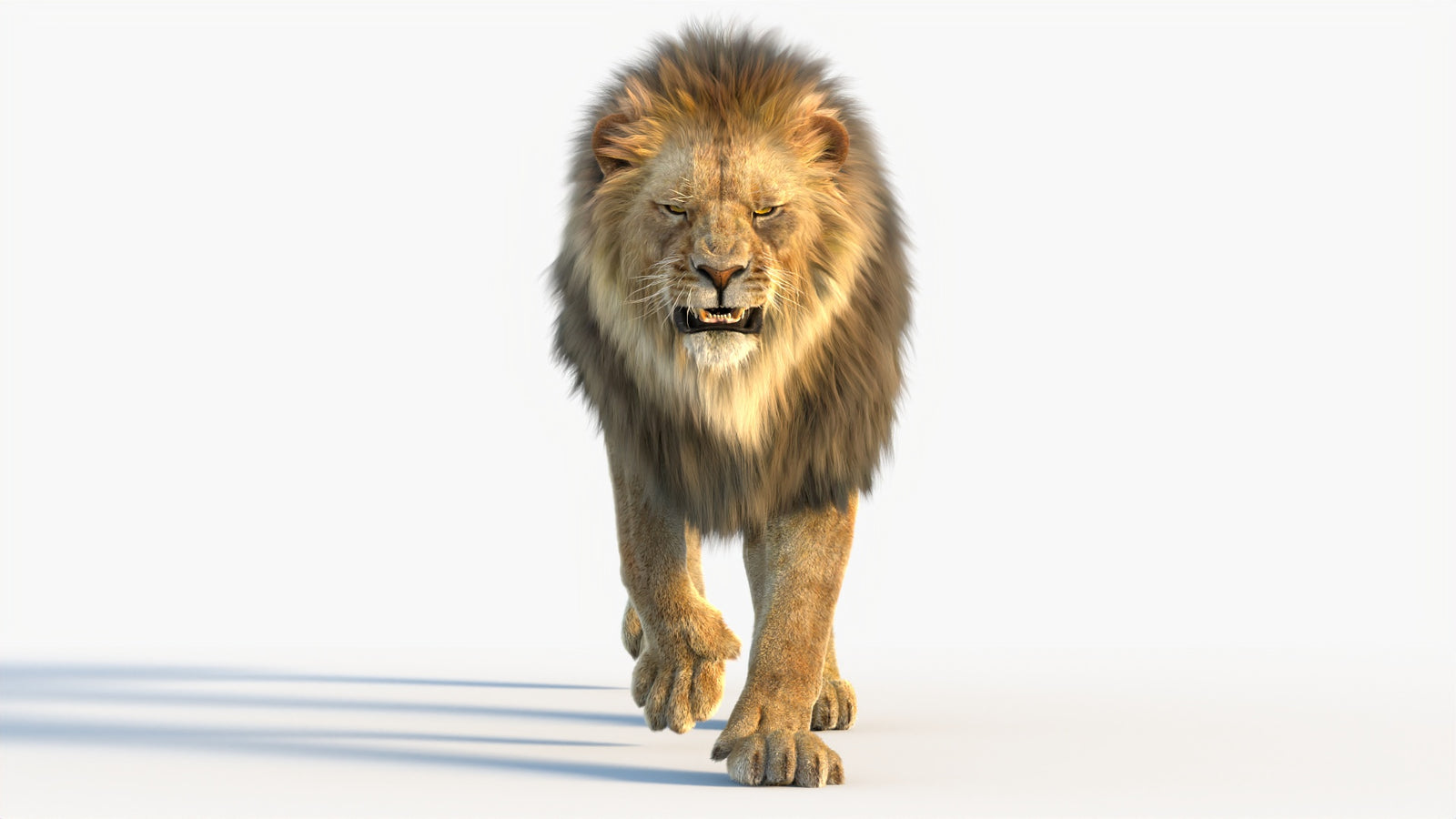 Animated Lion 3D Model with Fur 360° view 4 frame 5