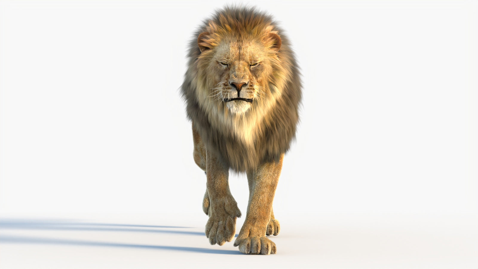 Animated Lion 3D Model with Fur 360° view 4 frame 8