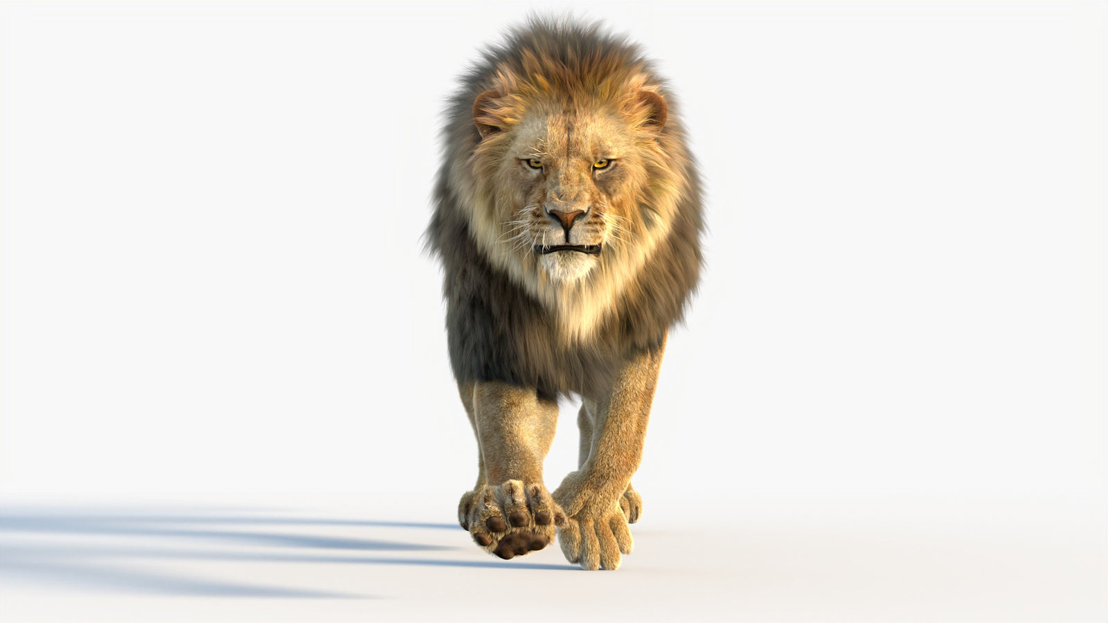 Animated Lion 3D Model with Fur 360° view 4 frame 17