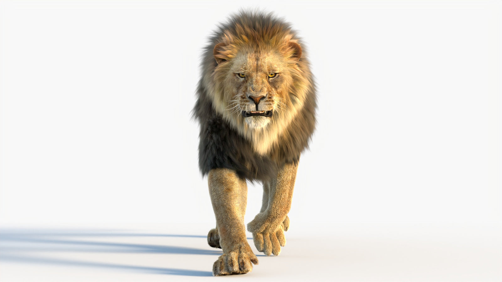 Animated Lion 3D Model with Fur 360° view 4 frame 20