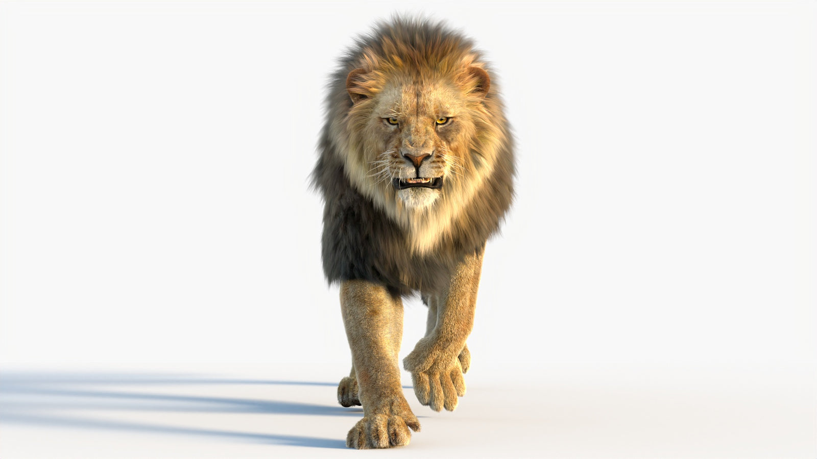 Animated Lion 3D Model with Fur 360° view 4 frame 21