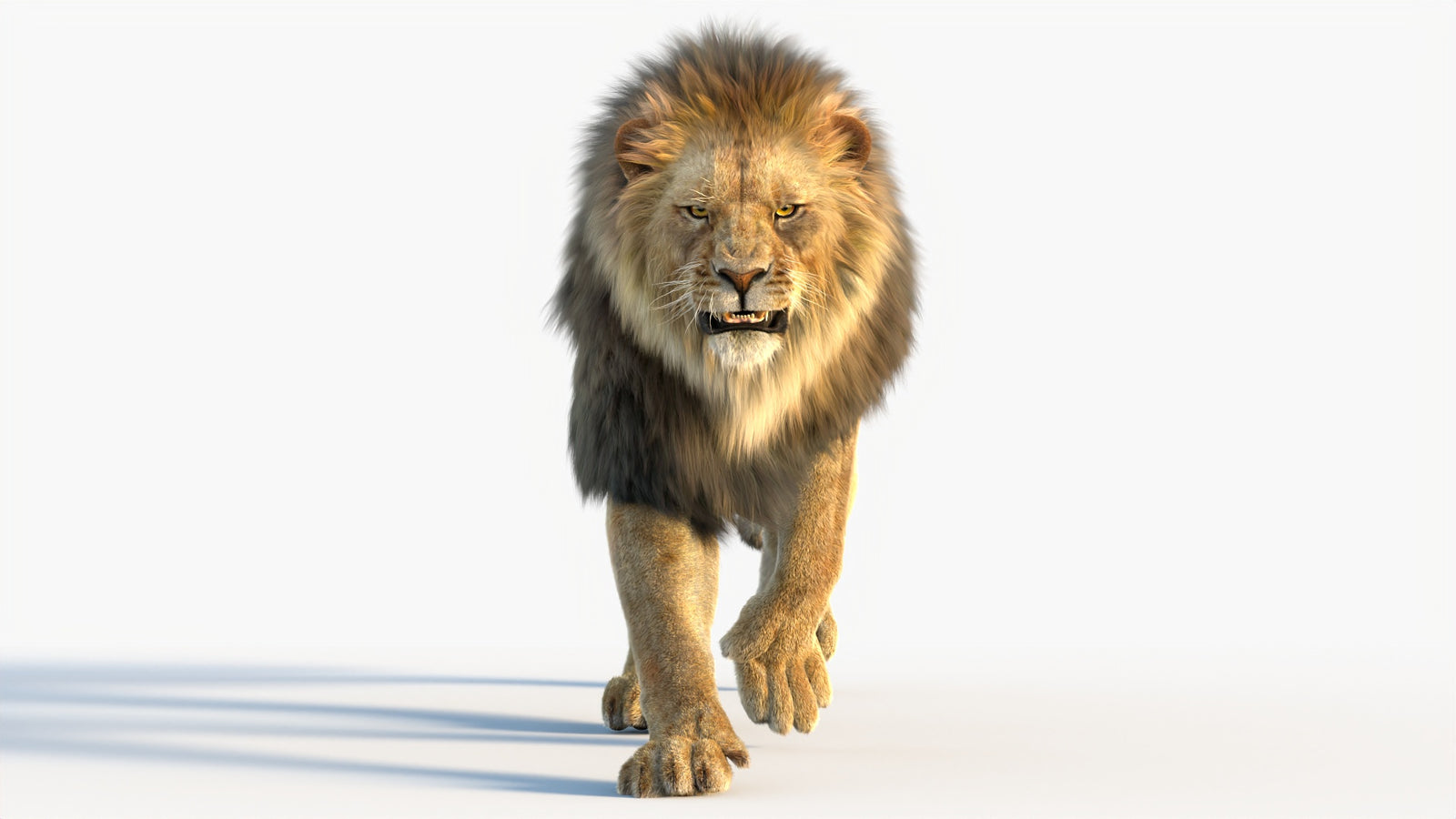 Animated Lion 3D Model with Fur 360° view 4 frame 22