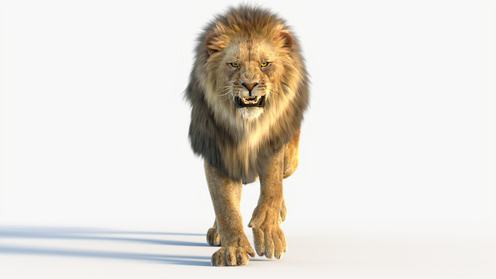 Animated Lion 3D Model with Fur 360° view 4 frame 26