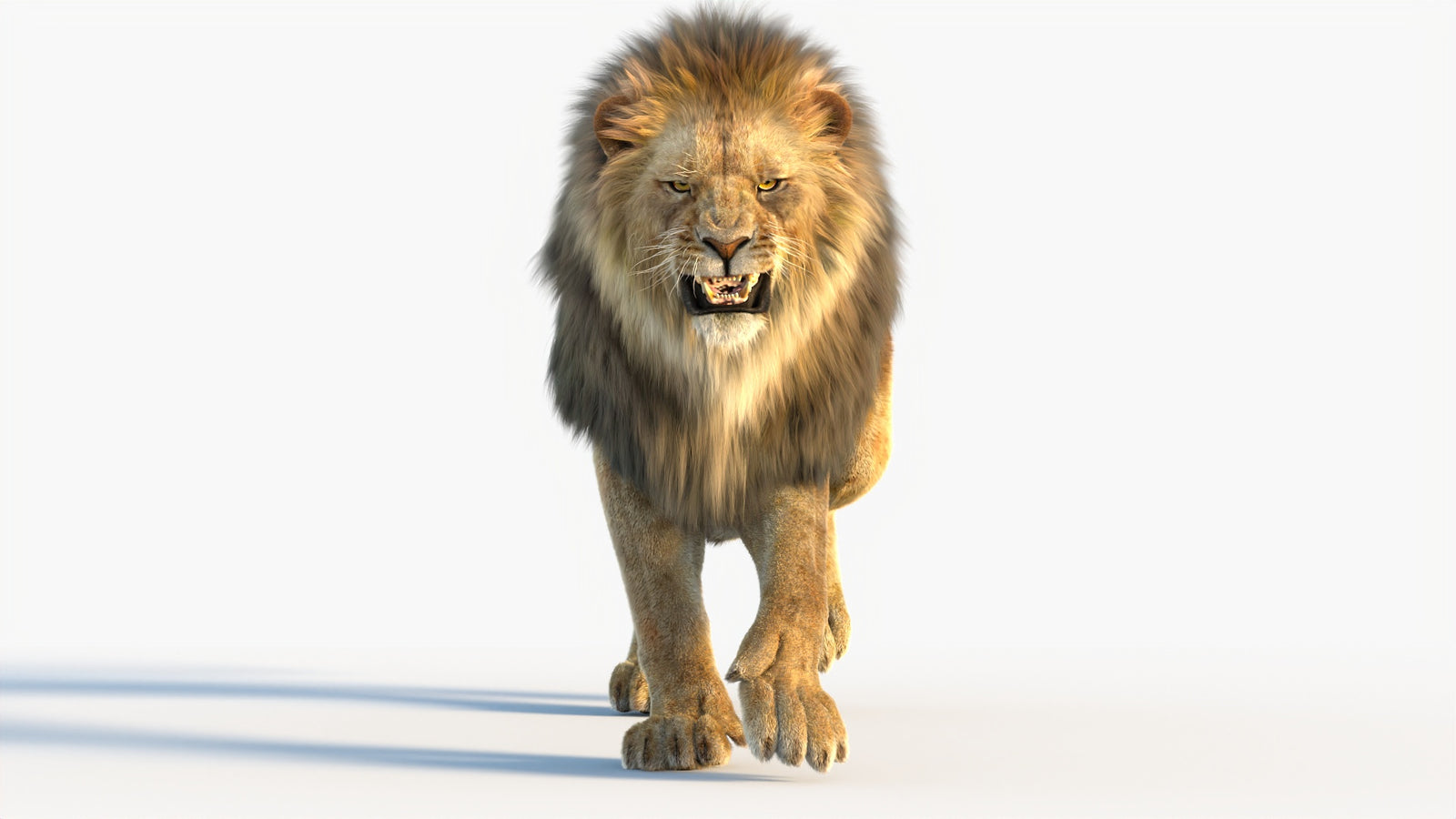 Animated Lion 3D Model with Fur 360° view 4 frame 29