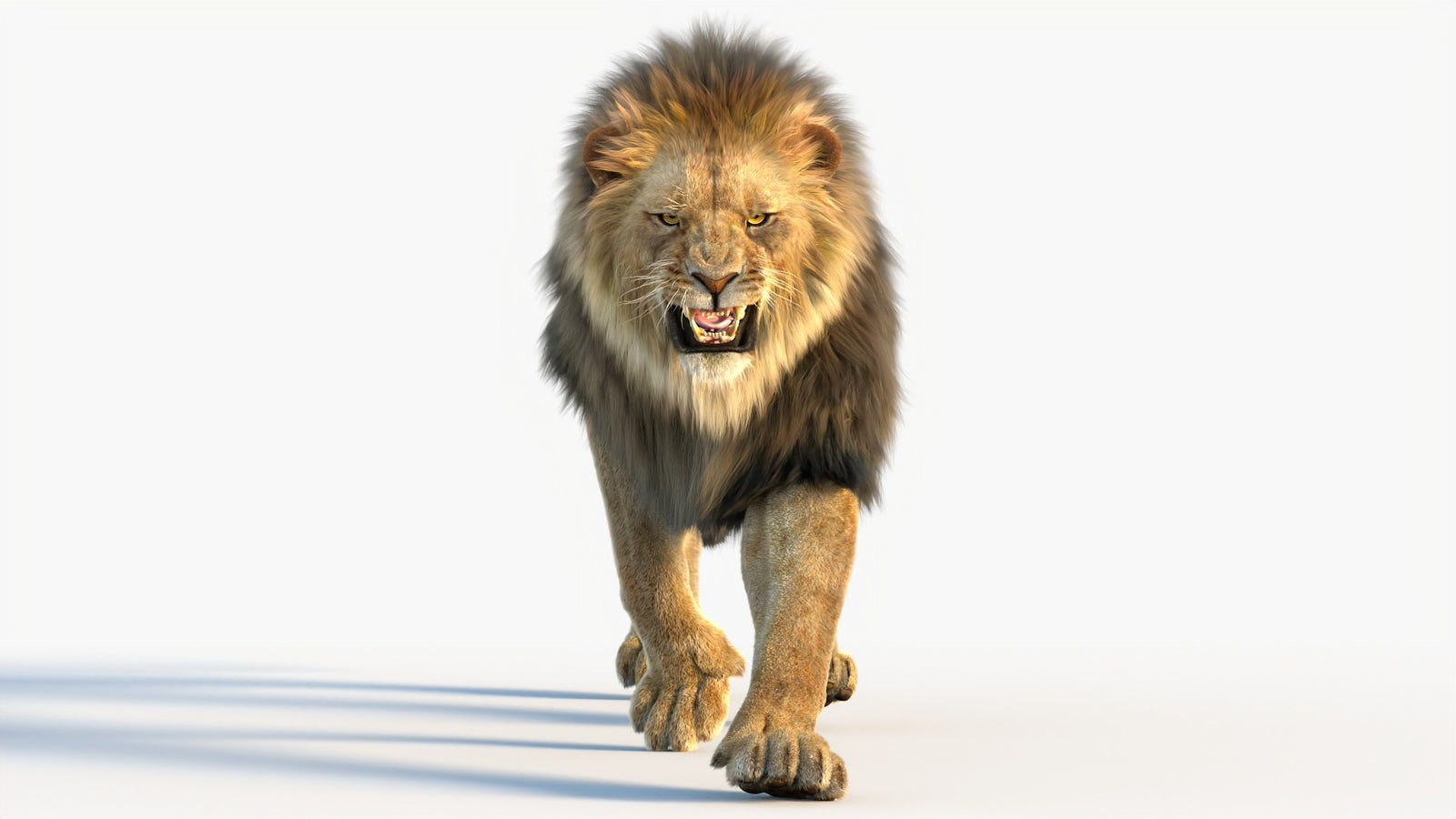 Animated Lion 3D Model with Fur 360° view 4 frame 36