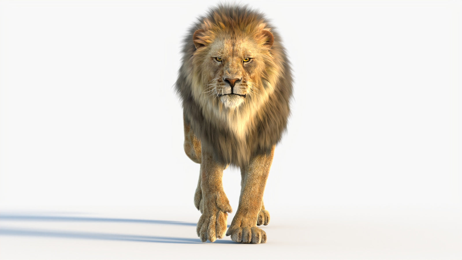 Animated Lion 3D Model with Fur 360° view 4 frame 46