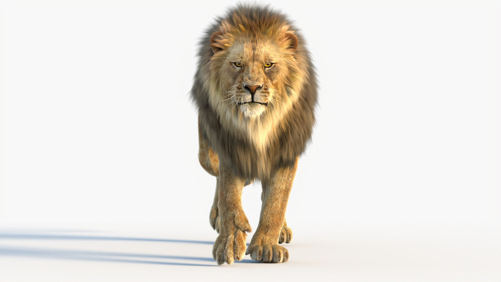 Animated Lion 3D Model with Fur 360° view 4 frame 47