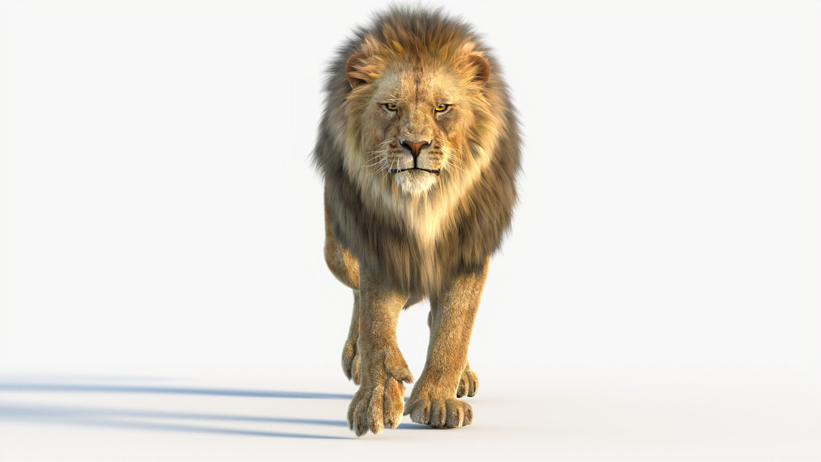 Animated Lion 3D Model with Fur 360° view 4 frame 48