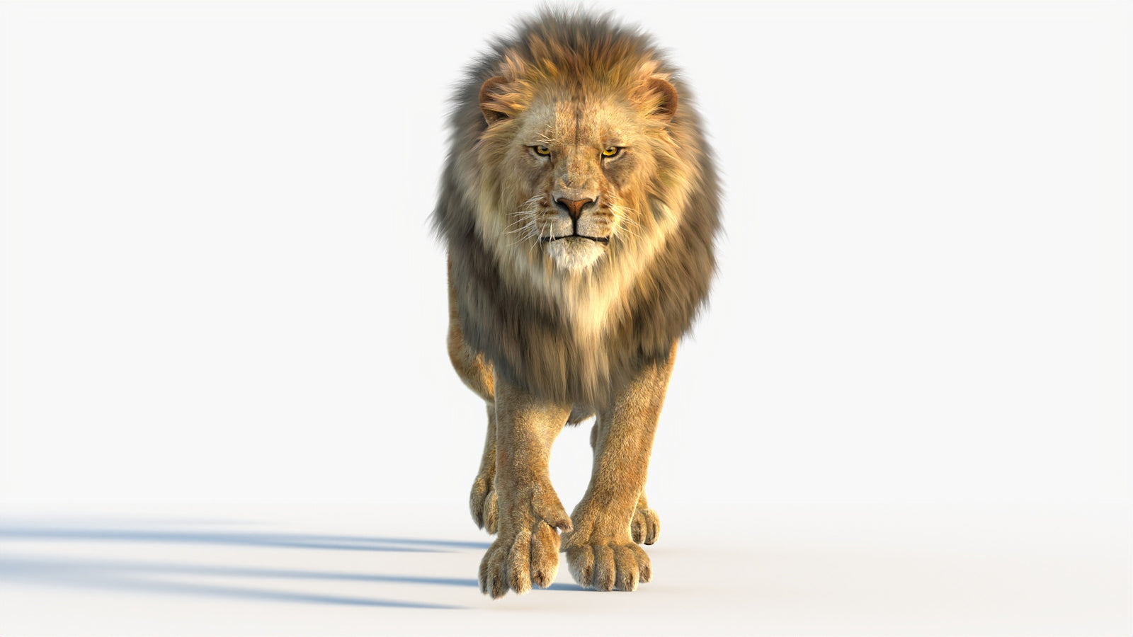 Animated Lion 3D Model with Fur 360° view 4 frame 49