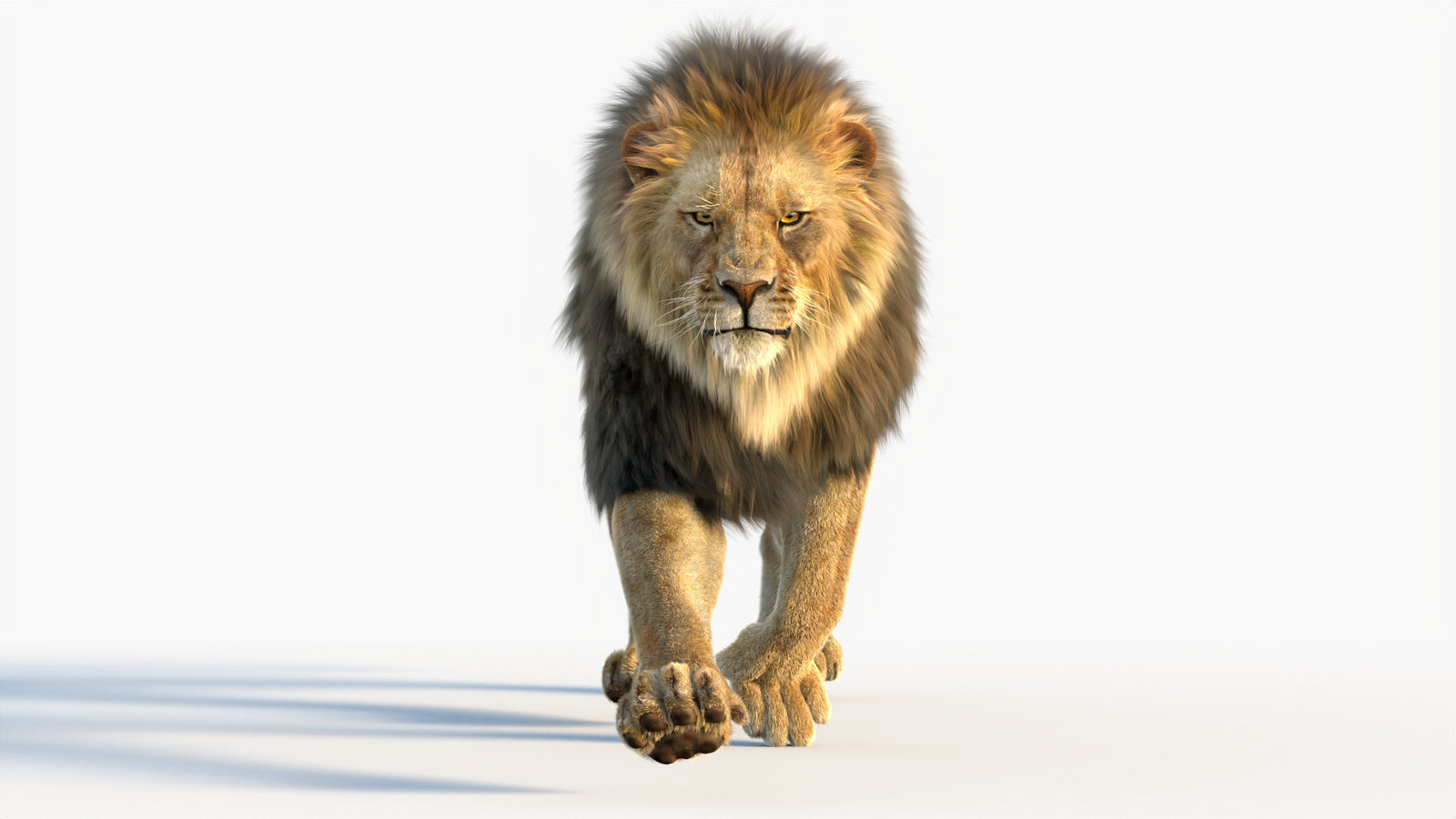 Animated Lion 3D Model with Fur 360° view 4 frame 54