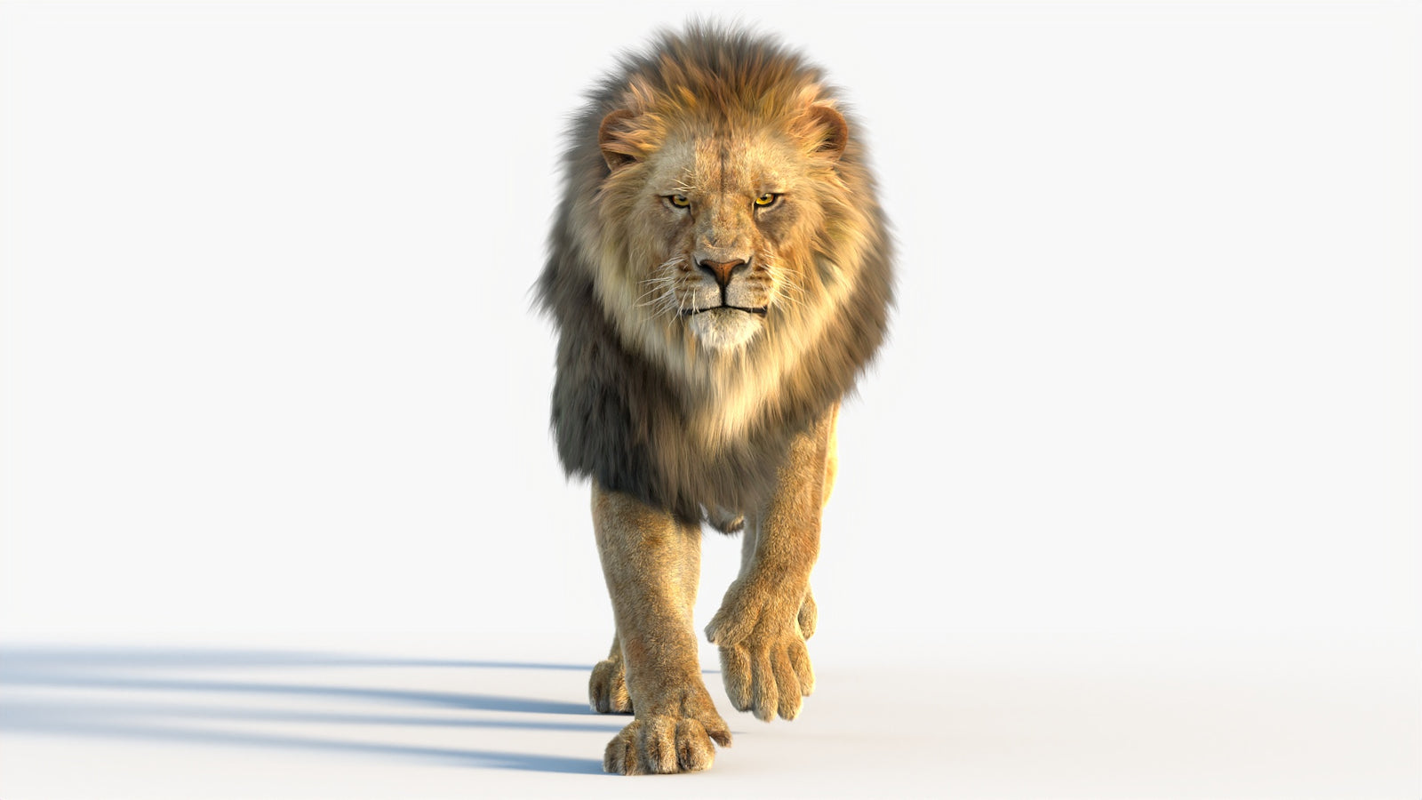Animated Lion 3D Model with Fur 360° view 4 frame 59
