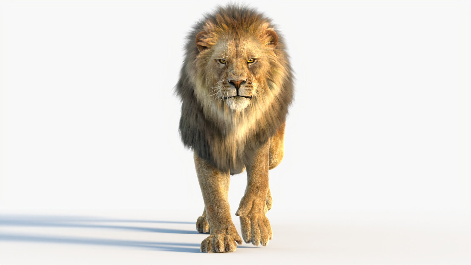 Animated Lion 3D Model with Fur 360° view 4 frame 62