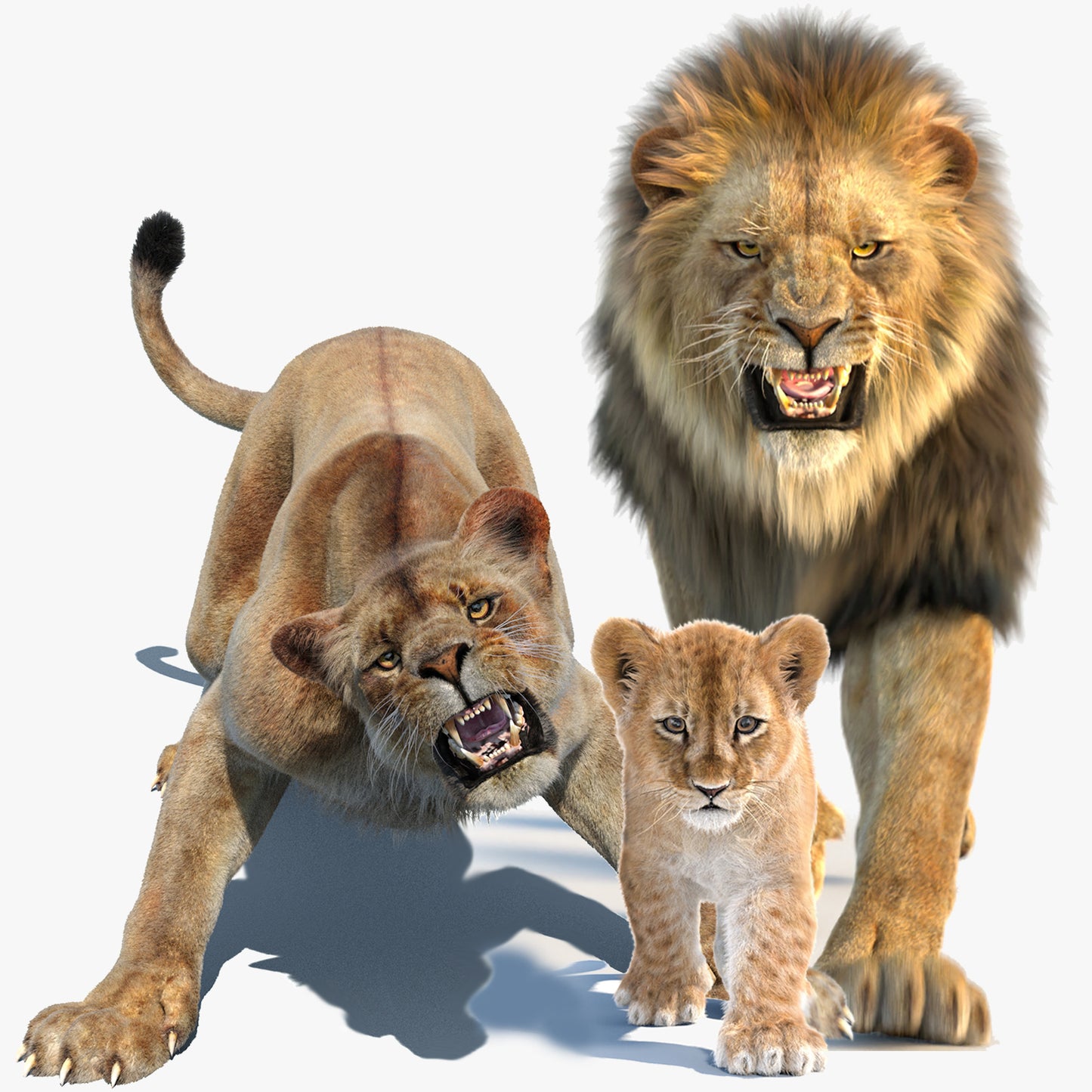 Lion Family 3D Models – Rigged Animated Bundle