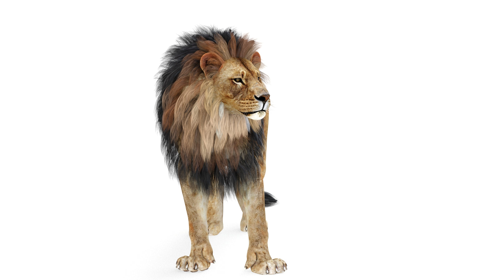 Lion 3D Model Rigged 360° view 1 frame 28