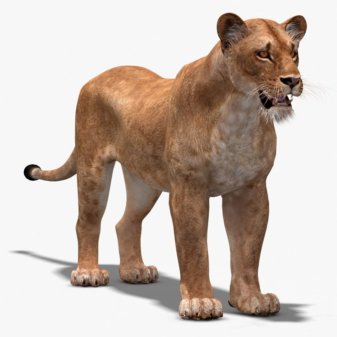 Big Cats: Lioness 3D Model for Download