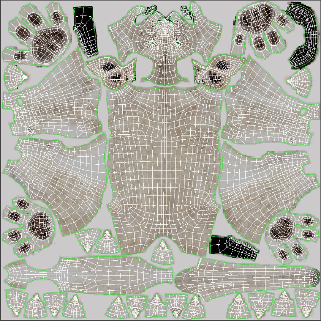White Lioness Fur 3D Model