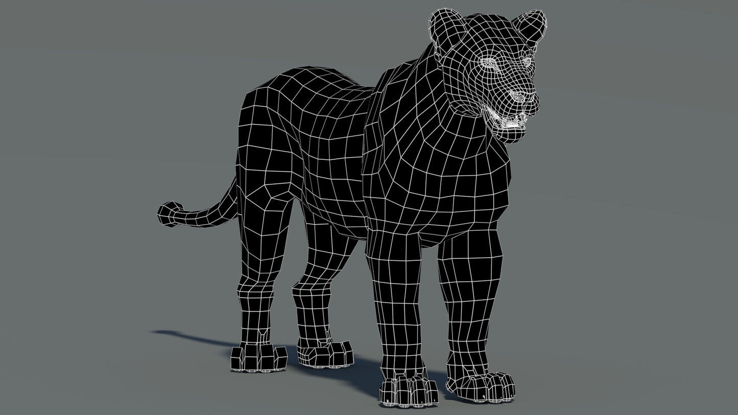 Lioness 3D Model Wireframe View 0
