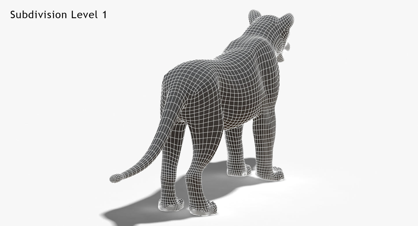 Big Cats 03 3D Model