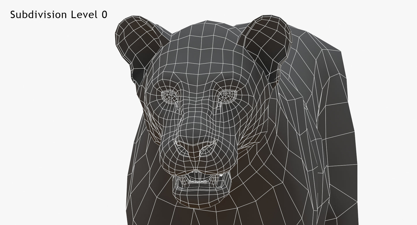 Big Cats 03 3D Model