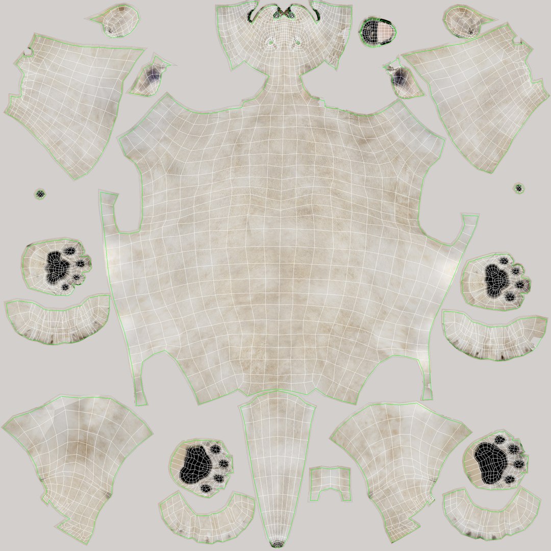 White Lioness 3D Model Body UVs
