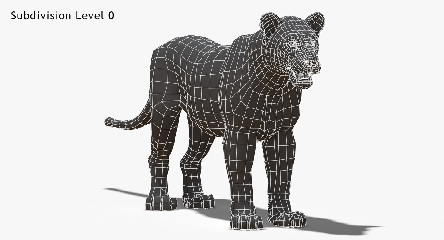 White Lioness 3D Model Wireframe View - Subdivision Level 0