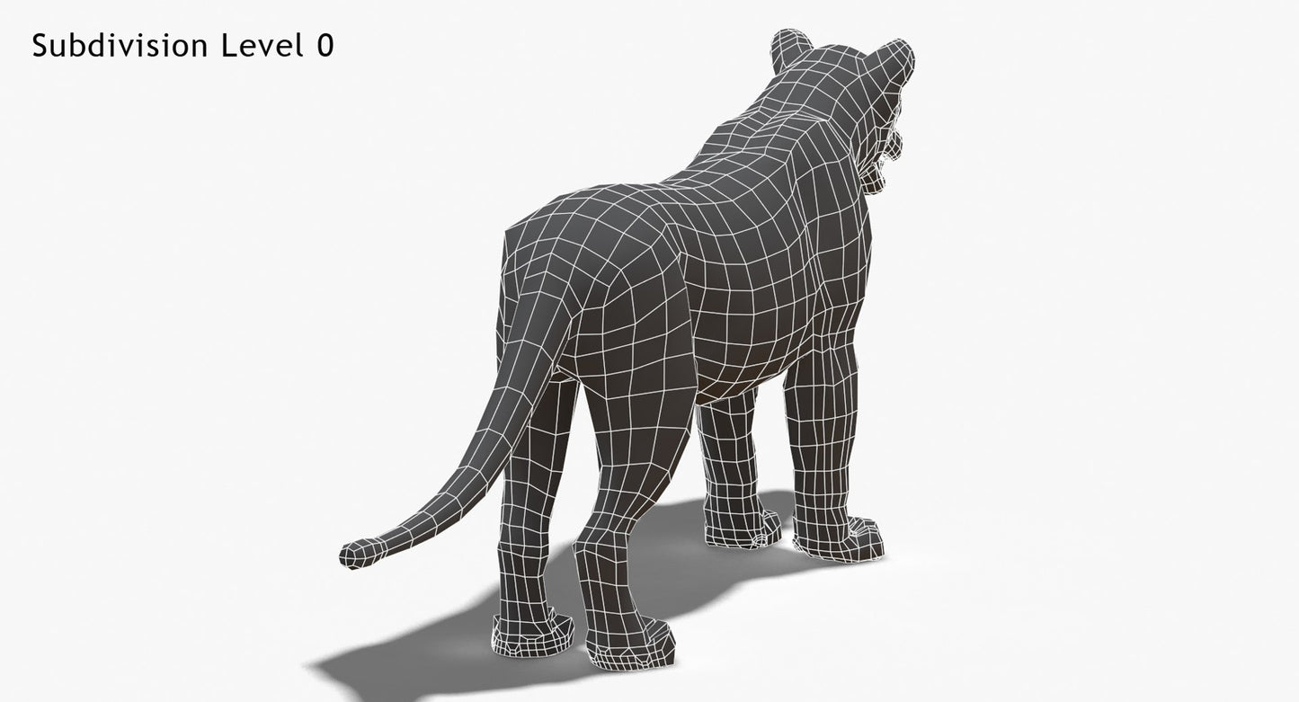 White Lioness 3D Model Wireframe View - Subdivision Level 0