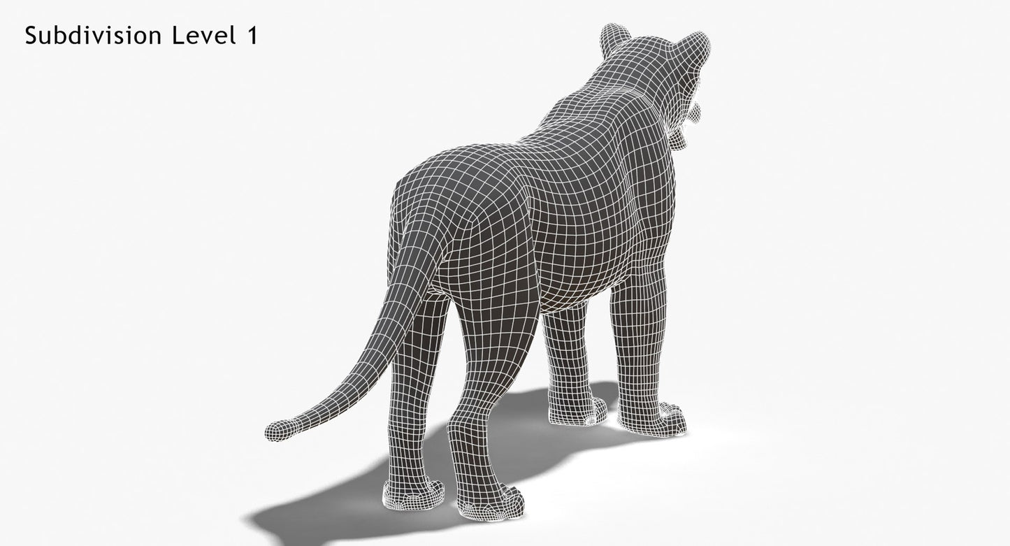 White Lioness 3D Model Wireframe View - Subdivision Level 1