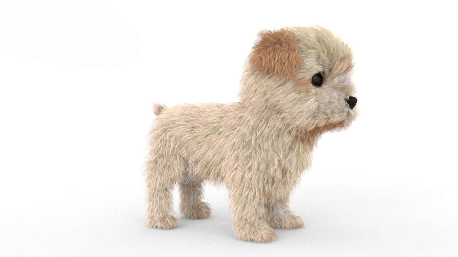 Animated Maltipoo Dog Puppy 3D Model Alpha Hair 360° view 1 frame 7