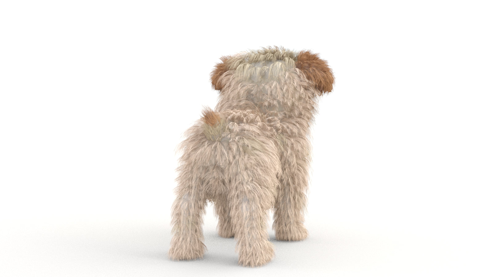 Animated Maltipoo Dog Puppy 3D Model Alpha Hair 360° view 1 frame 17