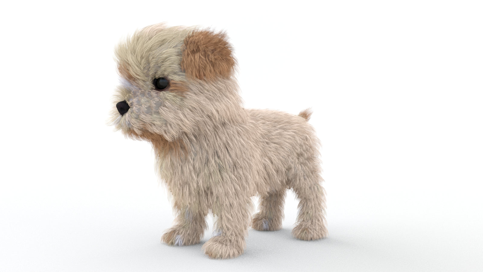 Animated Maltipoo Dog Puppy 3D Model Alpha Hair 360° view 1 frame 32