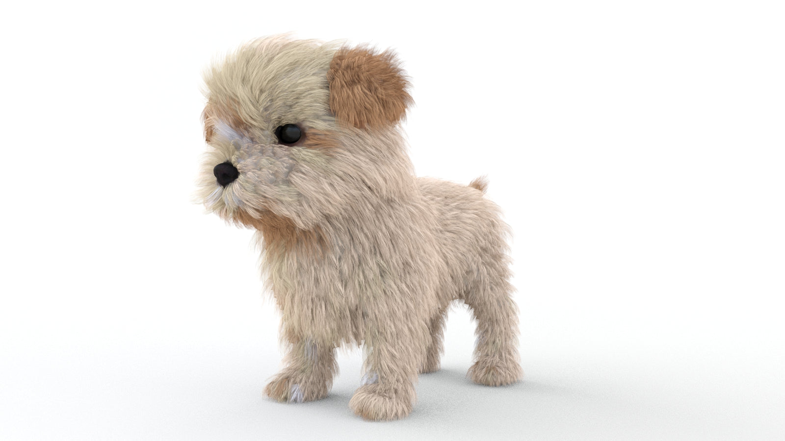 Animated Maltipoo Dog Puppy 3D Model Alpha Hair 360° view 1 frame 33