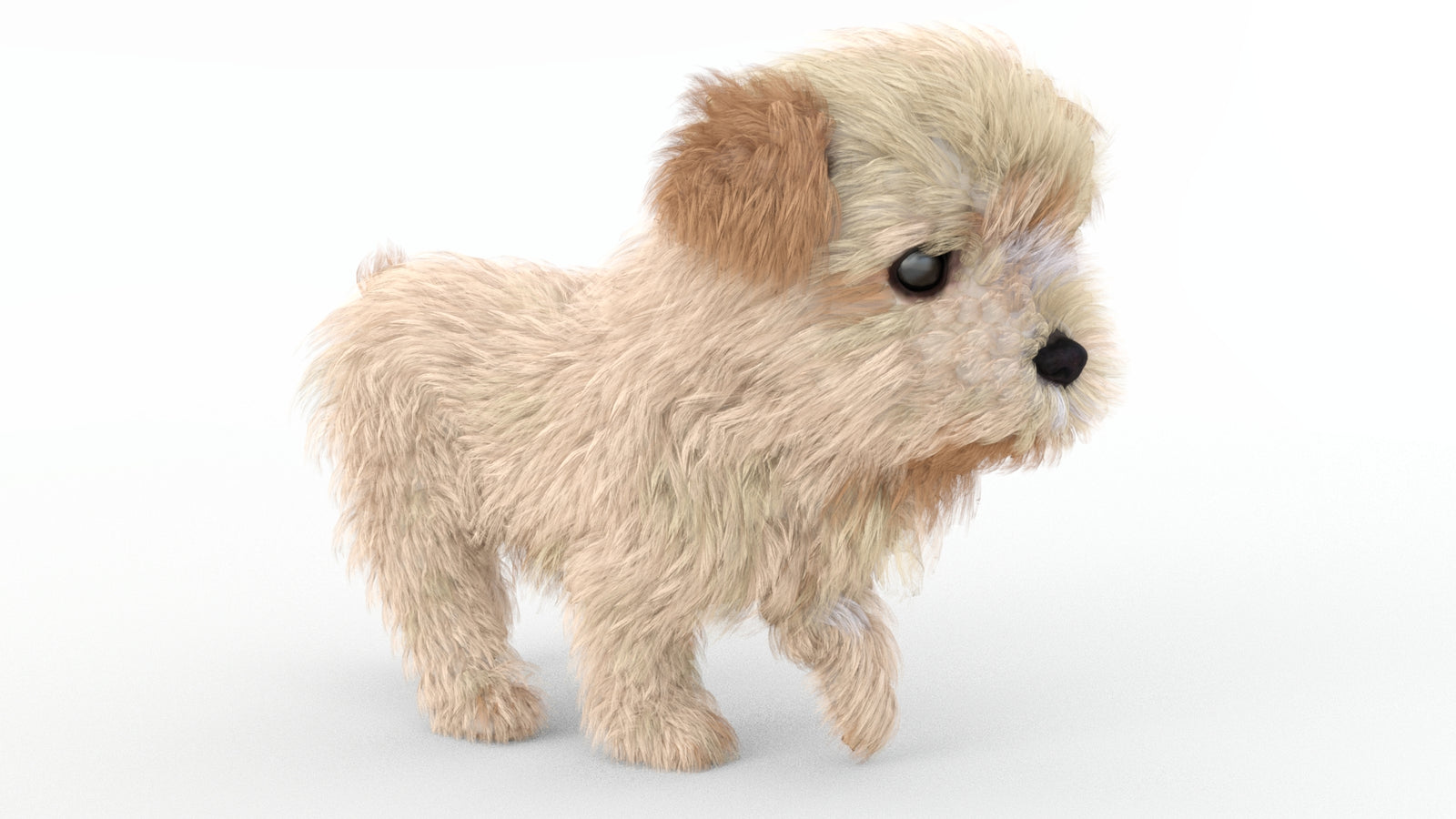 Animated Maltipoo Dog Puppy 3D Model Alpha Hair 360° view 4 frame 8