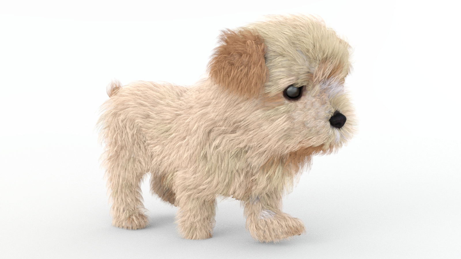 Animated Maltipoo Dog Puppy 3D Model Alpha Hair 360° view 4 frame 12