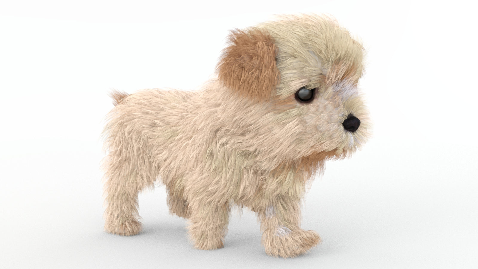 Animated Maltipoo Dog Puppy 3D Model Alpha Hair 360° view 4 frame 14