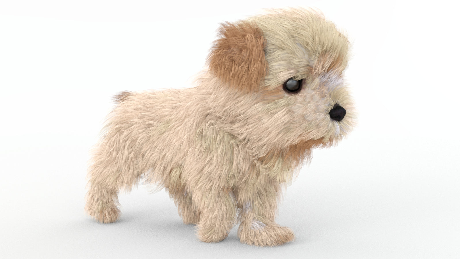 Animated Maltipoo Dog Puppy 3D Model Alpha Hair 360° view 4 frame 17