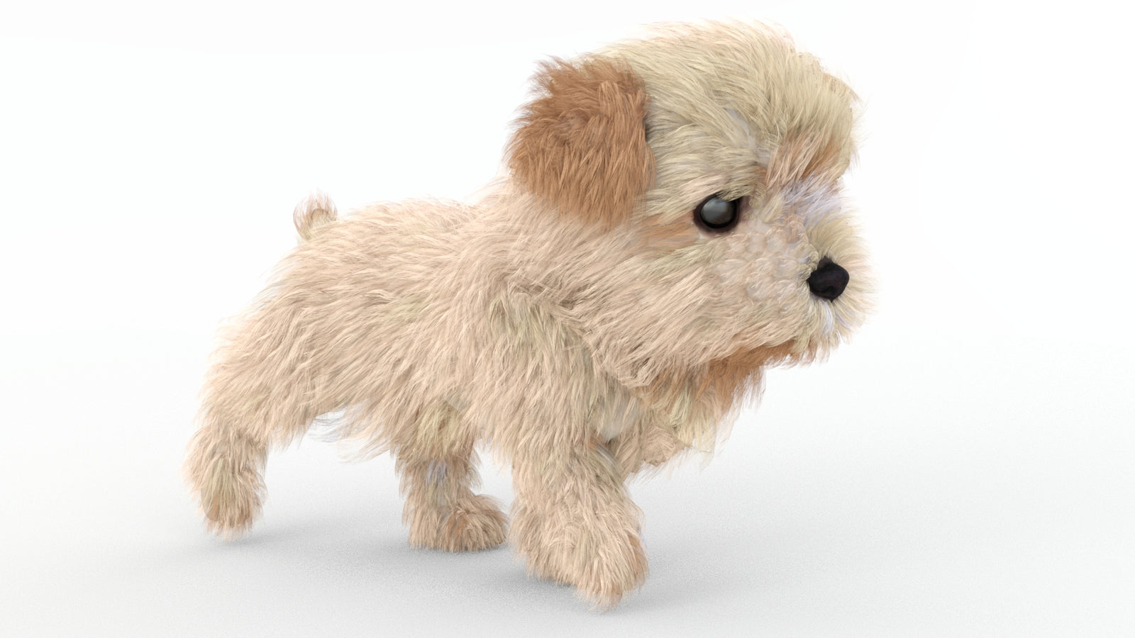 Animated Maltipoo Dog Puppy 3D Model Alpha Hair 360° view 4 frame 23