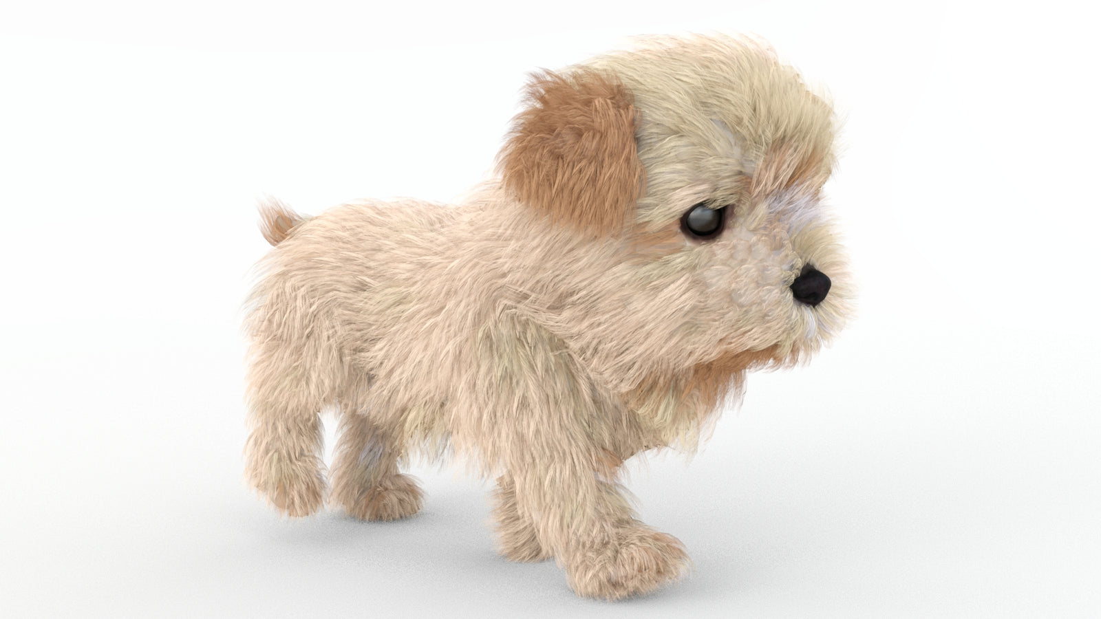 Animated Maltipoo Dog Puppy 3D Model Alpha Hair 360° view 4 frame 28
