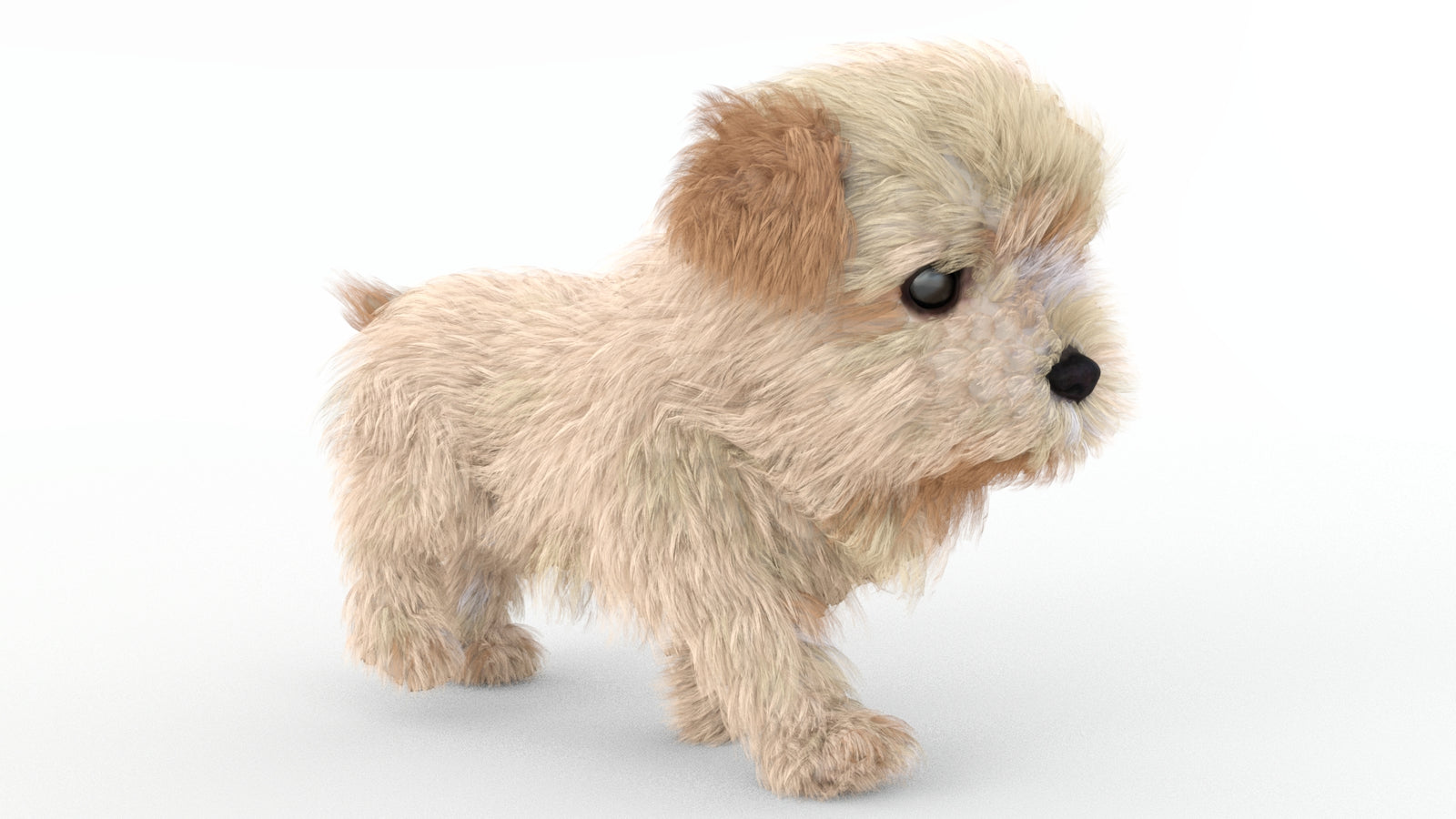Animated Maltipoo Dog Puppy 3D Model Alpha Hair 360° view 4 frame 29