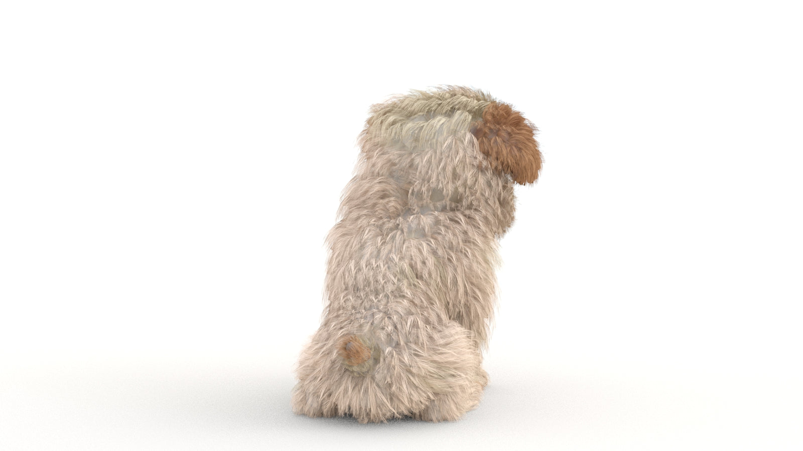Animated Maltipoo Dog Puppy 3D Model Alpha Hair 360° view 2 frame 33