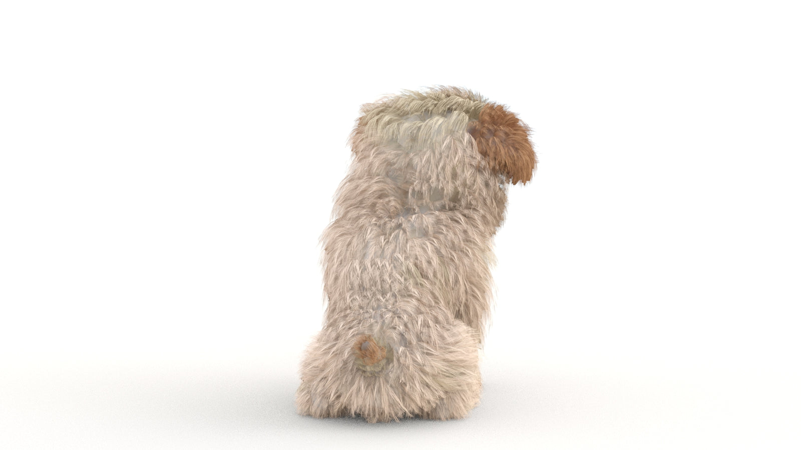 Animated Maltipoo Dog Puppy 3D Model Alpha Hair 360° view 2 frame 34