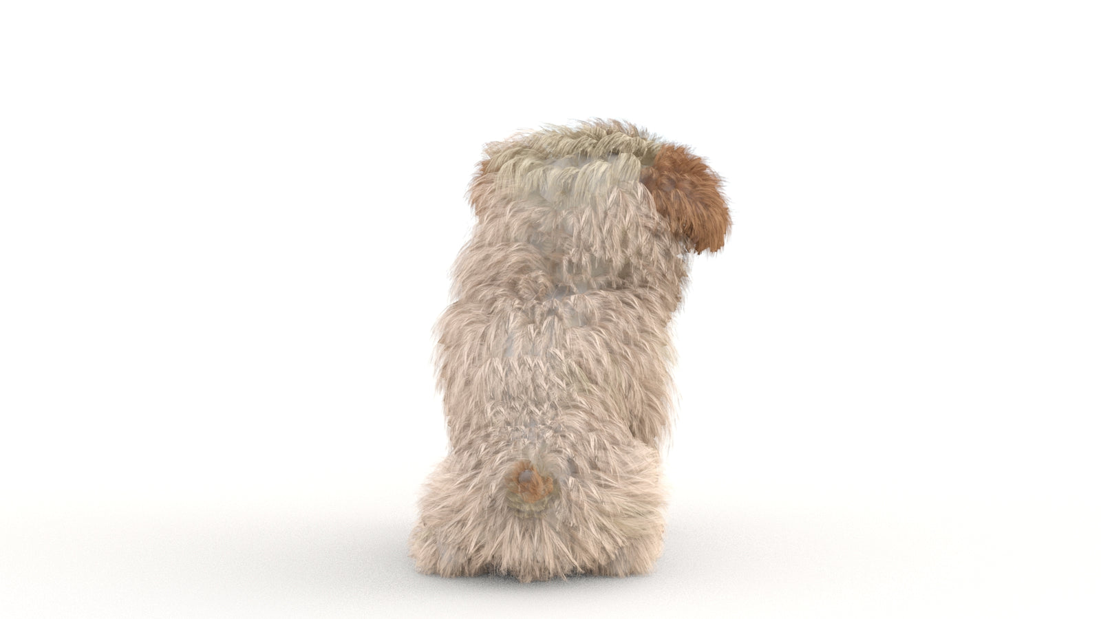 Animated Maltipoo Dog Puppy 3D Model Alpha Hair 360° view 2 frame 35