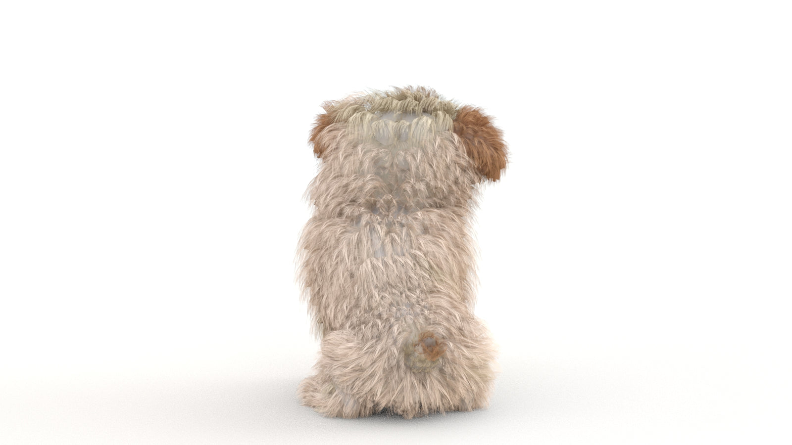Animated Maltipoo Dog Puppy 3D Model Alpha Hair 360° view 2 frame 38