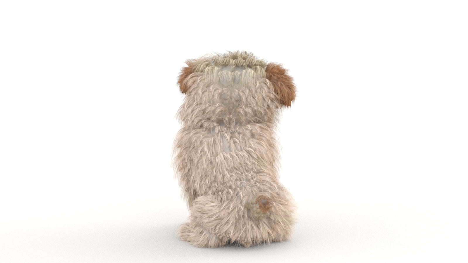 Animated Maltipoo Dog Puppy 3D Model Alpha Hair 360° view 2 frame 39