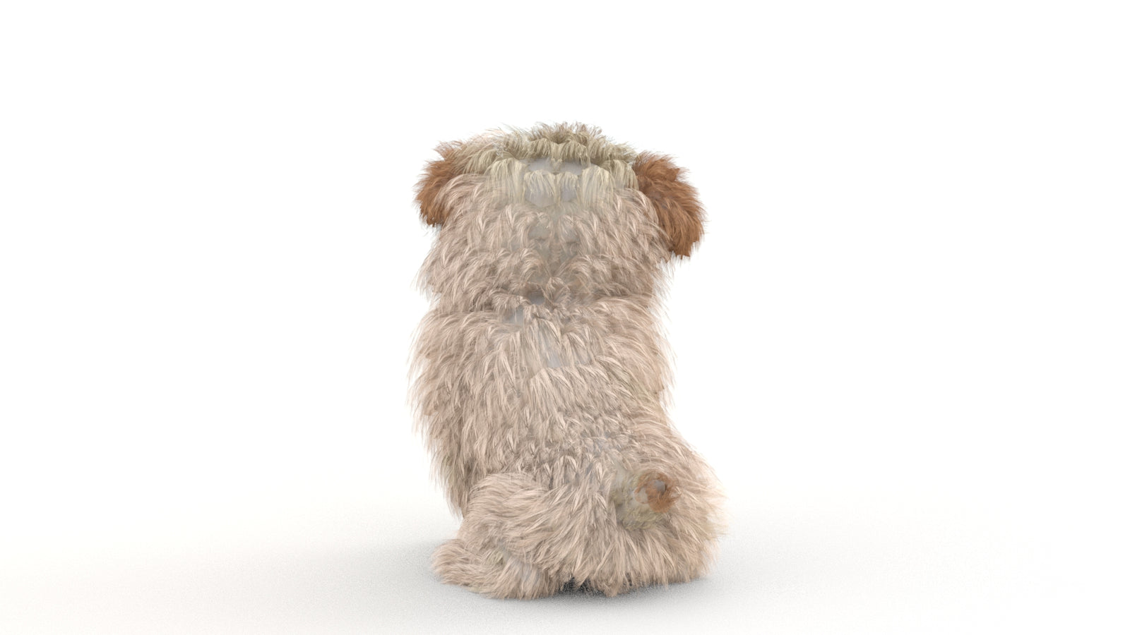 Animated Maltipoo Dog Puppy 3D Model Alpha Hair 360° view 2 frame 40