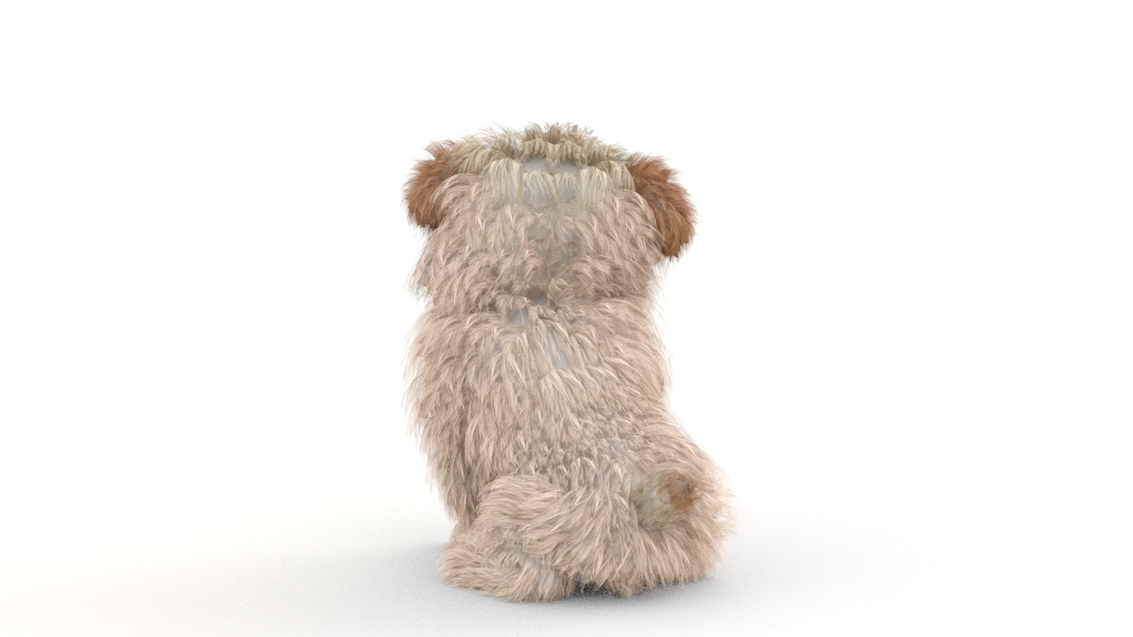 Animated Maltipoo Dog Puppy 3D Model Alpha Hair 360° view 2 frame 41
