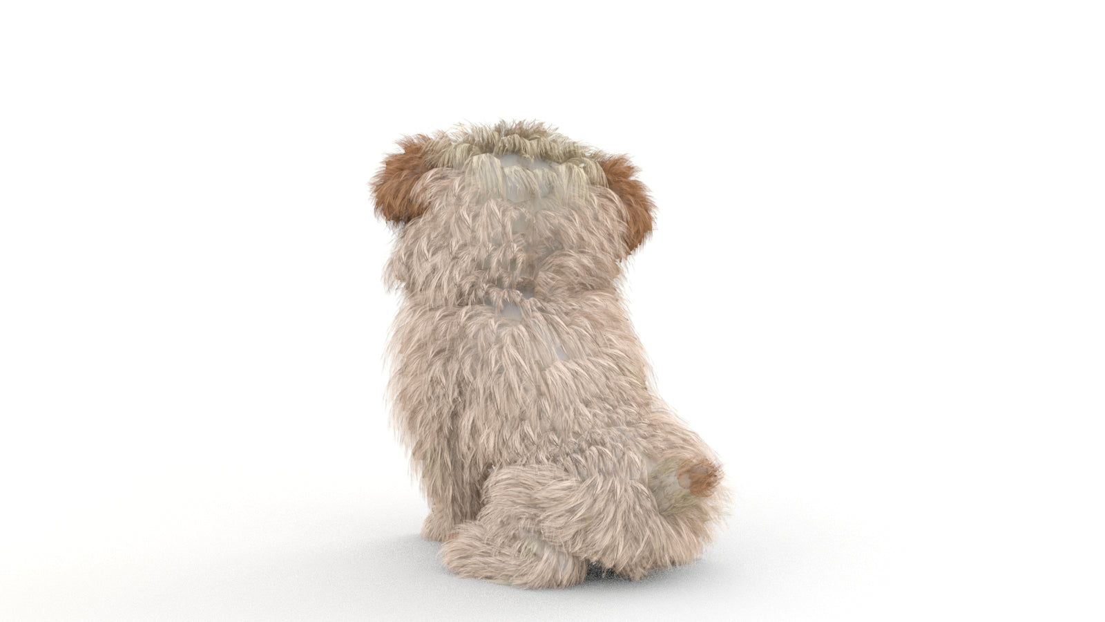 Animated Maltipoo Dog Puppy 3D Model Alpha Hair 360° view 2 frame 43