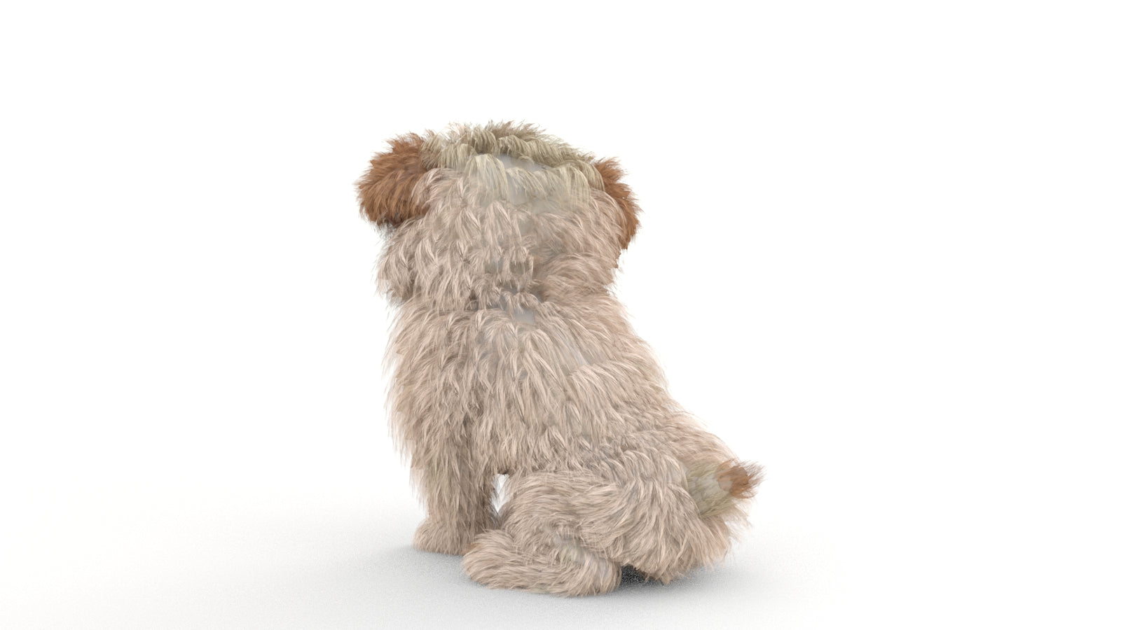 Animated Maltipoo Dog Puppy 3D Model Alpha Hair 360° view 2 frame 45