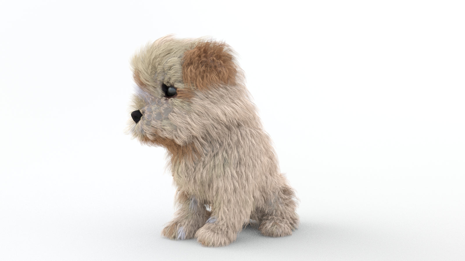 Animated Maltipoo Dog Puppy 3D Model Alpha Hair 360° view 2 frame 65