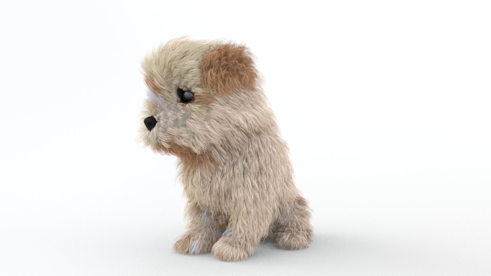 Animated Maltipoo Dog Puppy 3D Model Alpha Hair 360° view 2 frame 66